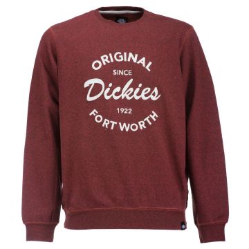 Dickies Armona Collegepaita - Oranssi